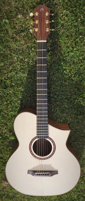Morison Guitar Santos