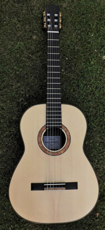 Morison Guitar Spalt Classical