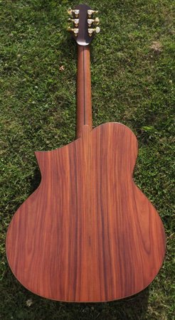 Morison Guitar Steel Santos